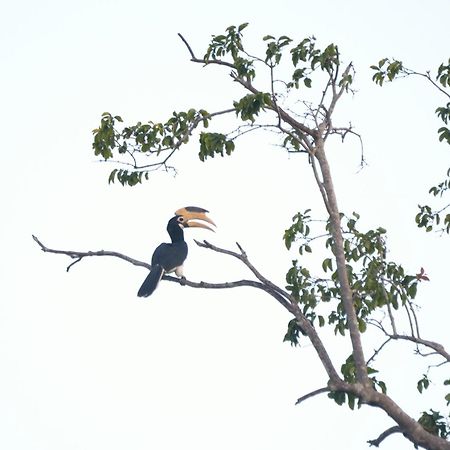 Pelican View Cottages Kataragama Extérieur photo